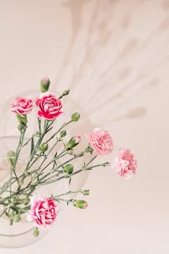 Background from bright spring flowers in full bloom. Stock Photos