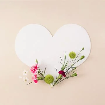 Background from bright spring flowers in full bloom. Stock Photos