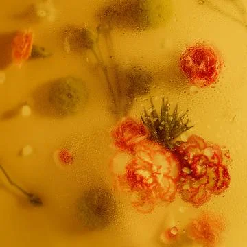 Background from bright spring flowers in full bloom. Stock Photos