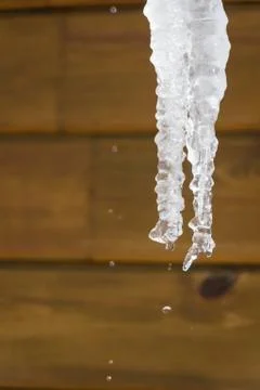 Background of bright transparent icicles in the sunlight Stock Photos
