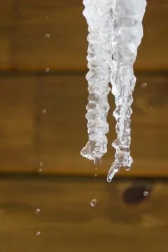 Background of bright transparent icicles in the sunlight Stock Photos