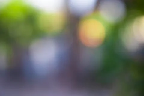 Background to bring beautiful blurred effect green, yellow and autumn color a Stock Photos