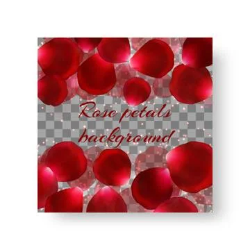 Background of brochure with rose petals Stock Illustration