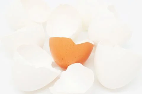 Background of broken white and brown shell chicken eggs Stock Photos