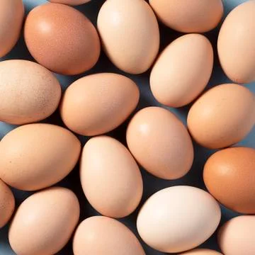 Background of brown eggs on blue background Stock Photos