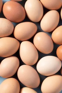 Background of brown eggs on blue background Stock Photos