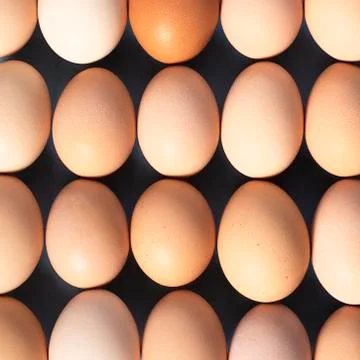 Background of brown eggs stacked in a row Stock Photos