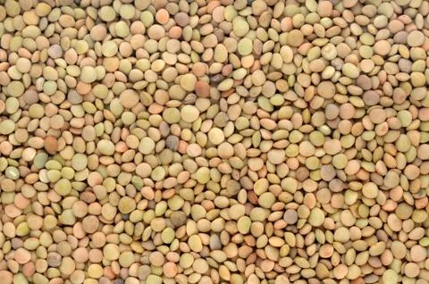 Background of brown lentils Stock Photos