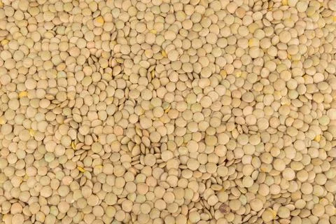 Background of brown lentils 스톡 사진