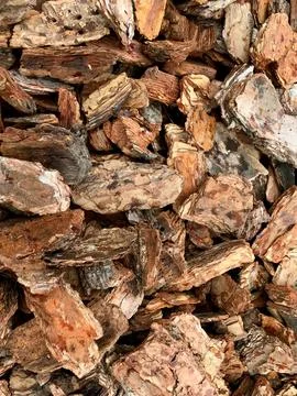 Background - brown pieces of tree bark Stock Photos