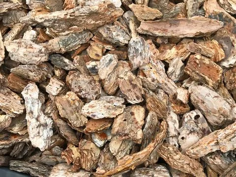 Background - brown pieces of tree bark Stock Photos