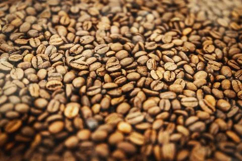 Background of brown roasted coffee beans, selective soft focus Stock Photos