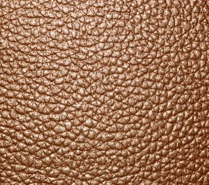 Background of brown rubber. Stock Photos