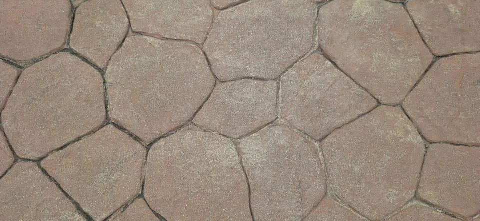 The background is a brown stone wall. Stock Photos