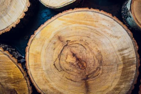 Background brown wood is cut stack together. Stockfoto's