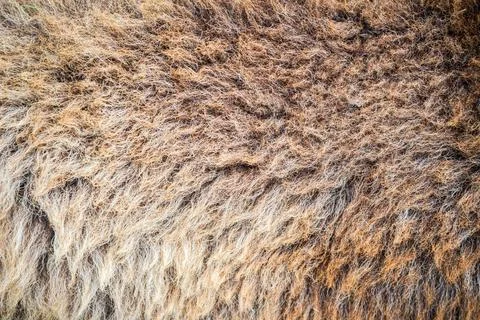 Background brown wool Stock Photos