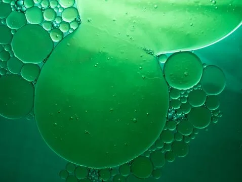 Background of bubbles and circles green tones Stock Photos