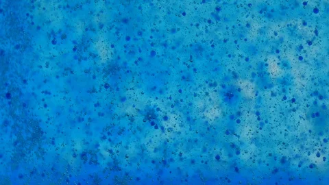 Background with bubbles Stock Footage 124164480