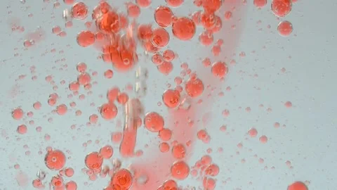 Background from bubbles. Motion of bubbles. Stock-Footage 136100524