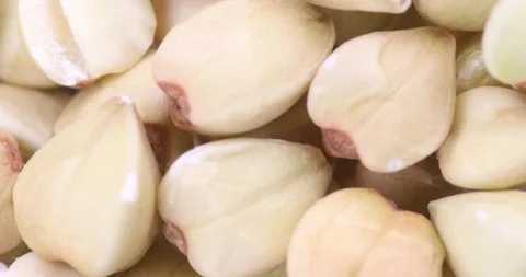 Background buckwheat macro grains Stock Footage 98111560