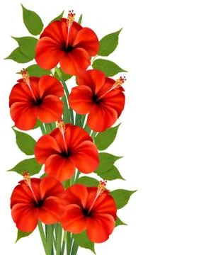 Background with a bunch of red flowers. vector. Stock Illustration