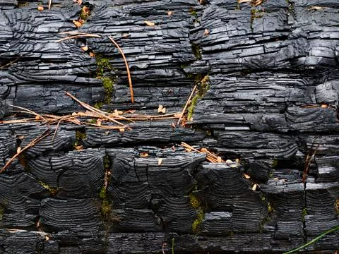 Background of a burned log Stock Photos