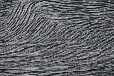 Background from the burned tree Stock Photos
