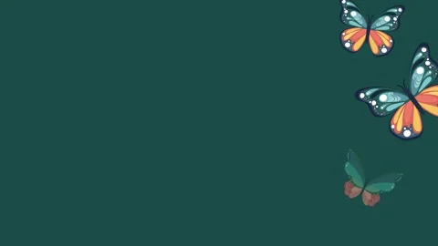 Background with butterflies gently moving the edges on an emerald green backdrop Video stock 312109635