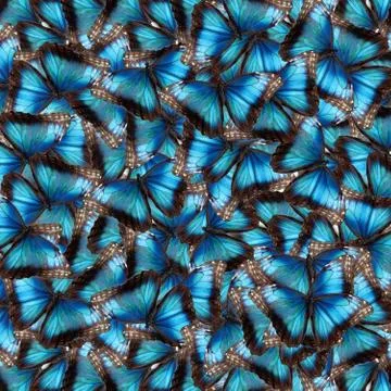 Background from butterflies Stock Illustration