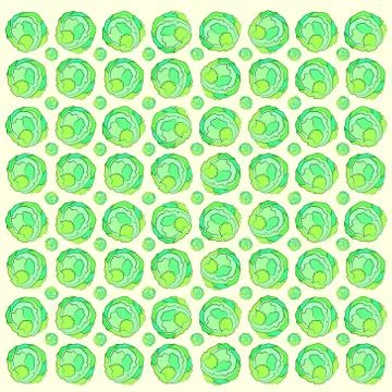 Background of cabbage. Stock Illustration