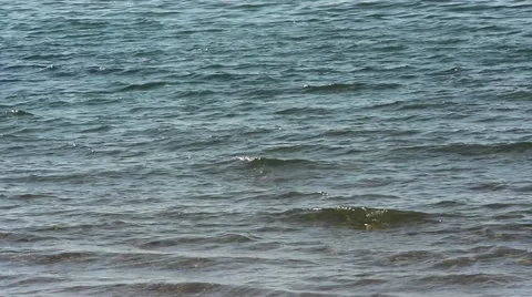 Background on the calm sea Stock Footage 65502113