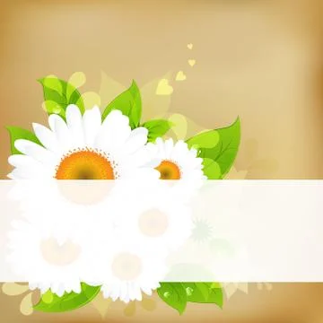 Background with camomiles Stock Illustration