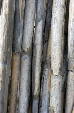 Background cane Stock Photos