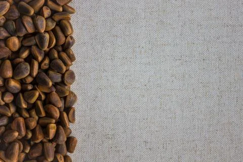 Background of canvas and pine nuts. Stock Photos