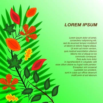 Background Card with different leaves to the left Stock Illustration