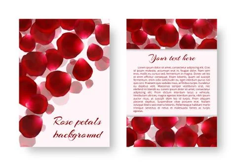 Background for a card with petals Stock Illustration