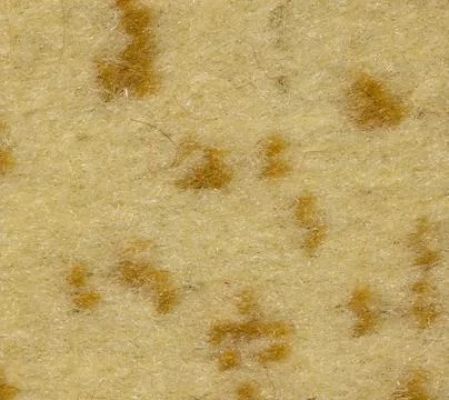 Background of the carpet Stock Photos