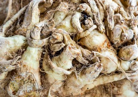 Background celery. 스톡 사진