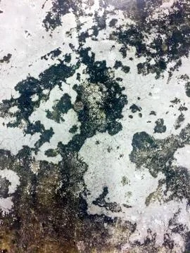 Background Cement Pattern Stock Photos