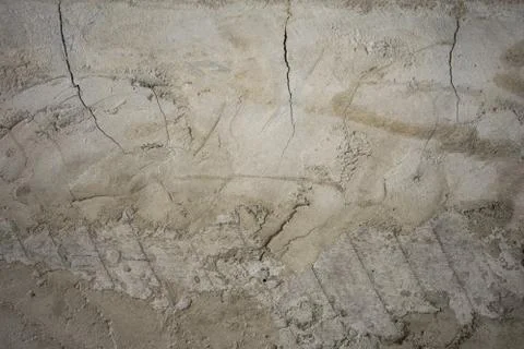 Background of cement texture Fotos Stock