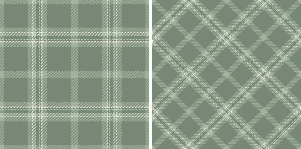 Background check pattern of tartan plaid textile with a vector texture seam.. 库存插图