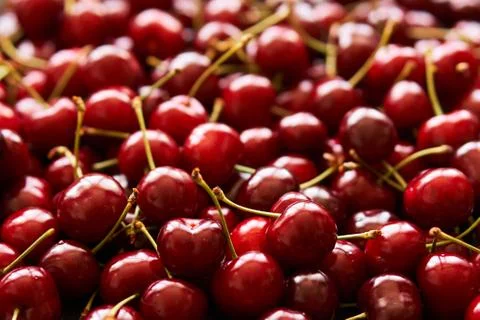 Background of cherries Stock Photos