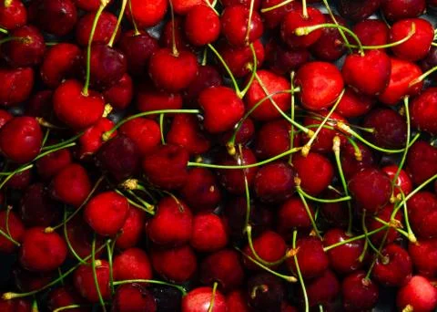 Background of cherry berries Stock Photos