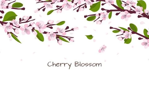 Background with cherry blossom. A branch with cherry blossoms isolated on a Stock Illustration