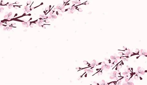 Background with cherry blossom. A branch with cherry blossoms isolated on a Stock Illustration