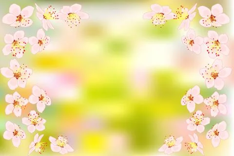 Background with cherry or pink sakura blossoms flowers on green backdrop. Stock Illustration