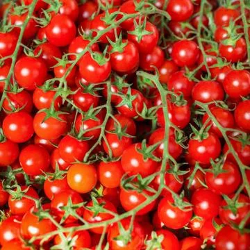 Background with cherry tomatoes. Stock Photos