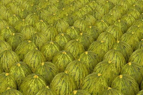 Background from Christmas melons with realistic texture, 3D rendering Stock Illustration