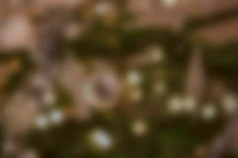 Background for christmas Stock-Fotos