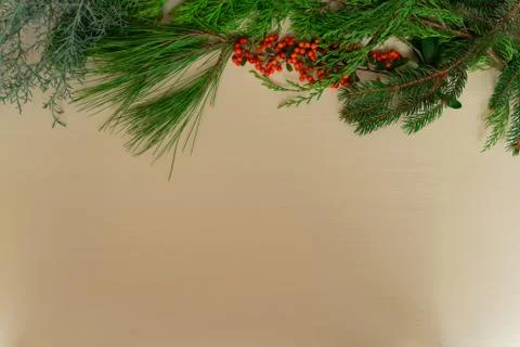 Background for christmas Stock Photos